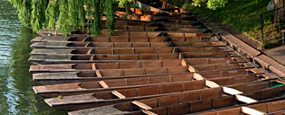 Punting